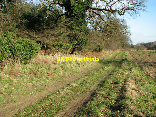Photo 6"x4" Track past Hoo Plantation, Little Glemham Little Glemham c2012