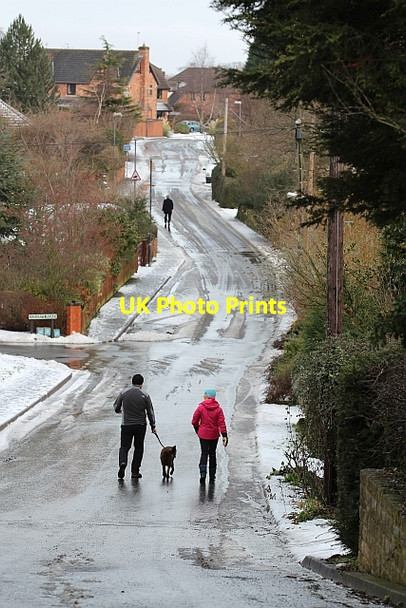 Photo 6"x4" Assarts Lane Brand Green\/SO7641 c2012