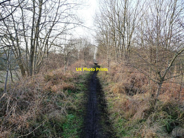 Photo 6"x4" View along a former mineral railway line Durham c2012