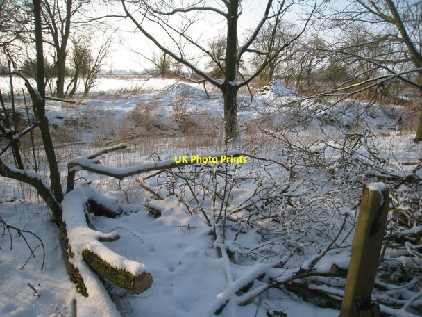 Photo 6"x4" Frozen pond Thornton le Moor c2012