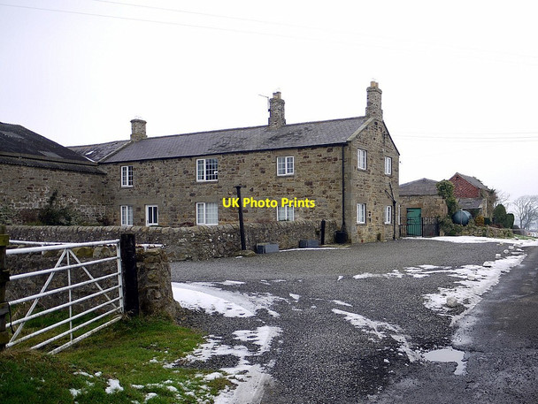 Photo 6"x4" Butcher Hill Farm Fenwick\/NZ0572 c2012