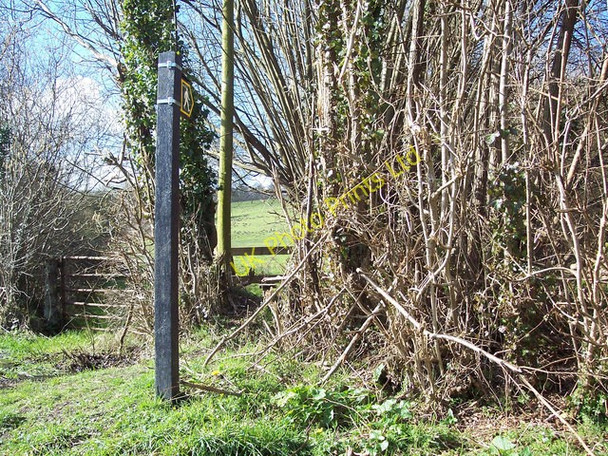 Photo 6"x4" Footpath,  Ansty Ansty\/ST9526 c2007