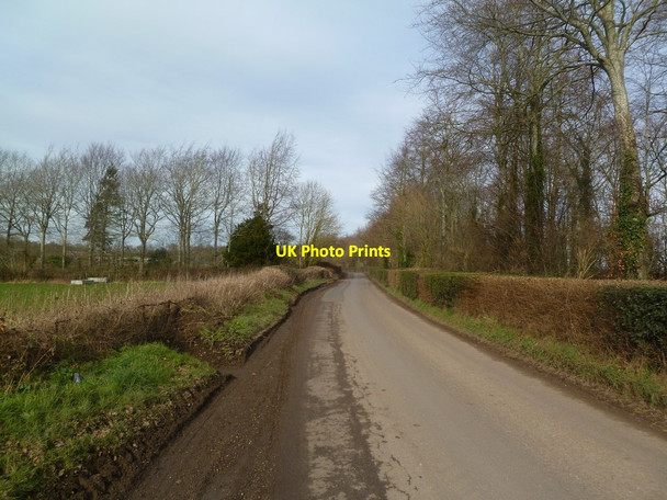 Photo 6"x4" Witchampton, Crichel Lane New Town\/ST9907 c2012