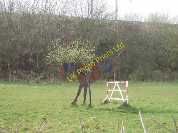 Photo 6"x4" Skewbald showjumper Tipton\/SO9592 c2007