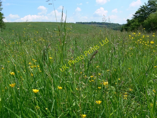 Photo 6"x4" Trimpley Reservoir Pound Green\/SO7578 c2006