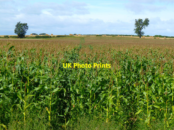 Photo 6"x4" Farmland, Aldbrough Aldbrough St John c2011