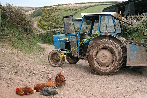 Photo 6"x4" Molland: Smallacombe Champson c2007