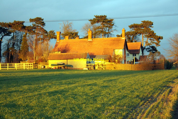Photo 6"x4" Severalls Cottages bathed in setting sunlight Wallingford c2012