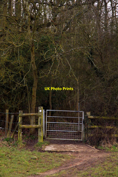 Photo 6"x4" Gate to Hen Wood Boars Hill c2012