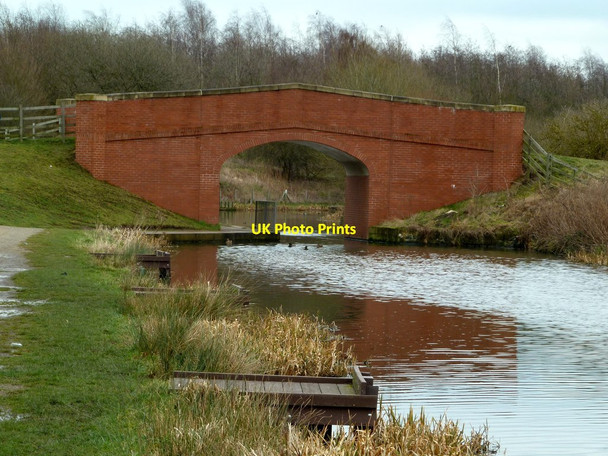Photo 6"x4" Fishing pegs at Bilby Lane Bridge New Brimington c2012