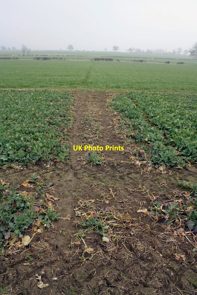 Photo 6"x4" Footpath towards Stanford in the Vale Baulking c2012