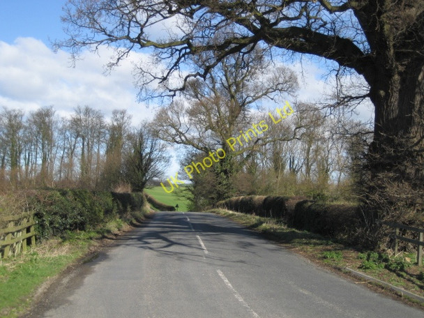 Photo 6"x4" Road and Trees Ripon c2007