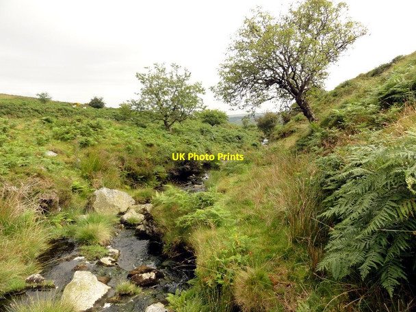 Photo 6"x4" The River Mardle Michelcombe c2011