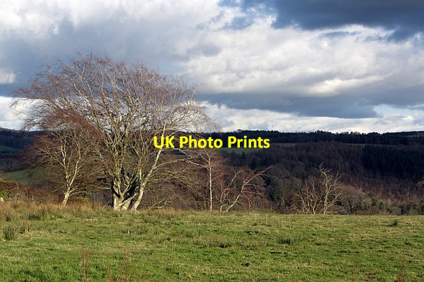 Photo 6"x4" Edge of the plateau Crossford\/NS8246 c2012