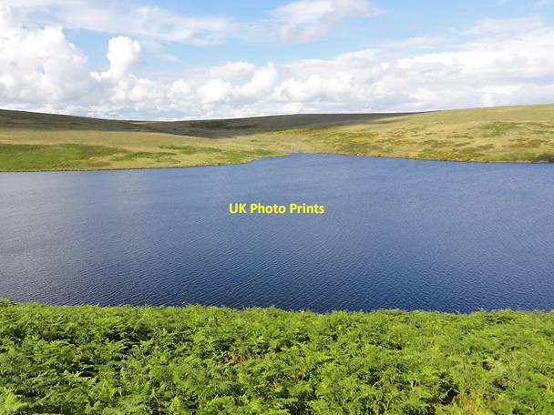 Photo 6"x4" Looking across the Avon Dam Reservoir Didworthy c2011