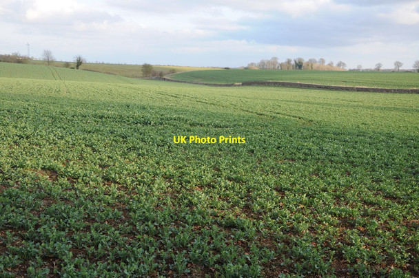 Photo 6"x4" Arable land near Tarlton Tarlton c2012