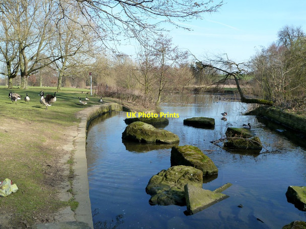 Photo 6"x4" Above the Cascade Weir at Cannon Hall Country Park Raw Green c2012