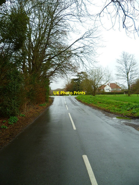 Photo 6"x4" Southbrook Road going north from West Ashling East Ashling c2012