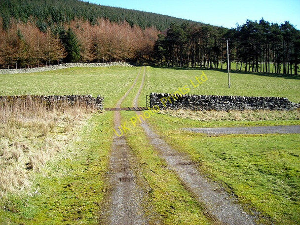 Photo 6"x4" Track Below Wellshot Hill Elvanfoot c2007