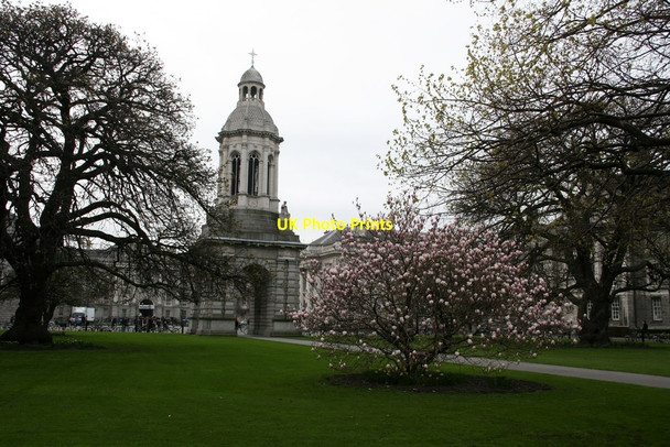 Photo 6"x4" In the grounds of Trinity College Dublin\/O1534 c2012