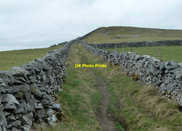 Photo 6"x4" Limestone Way above The Cop farm Old Dam c2012