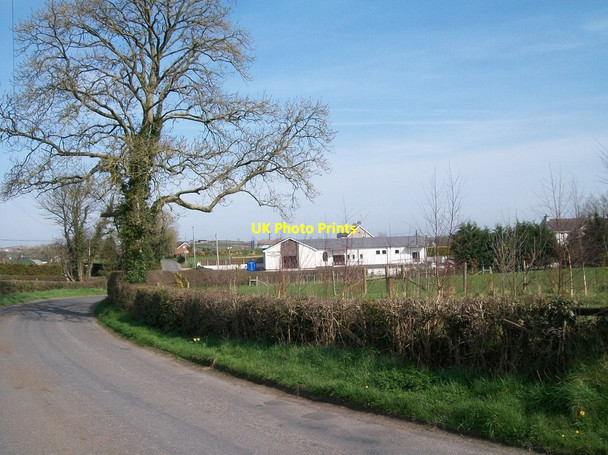 Photo 6"x4" Approaching the Ardaragh Free Presbyterian Church Milltown\/J1436 c2012