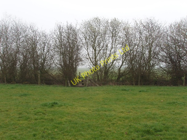 Photo 6"x4" Field, hedge and footbridge Wendlebury c2007