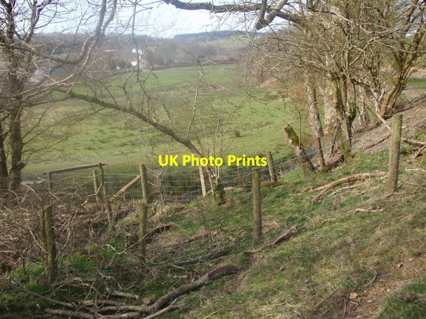 Photo 6"x4" Llwybr wedi'i rwystro - Blaenpennal obstructed path Blaenpennal c2012
