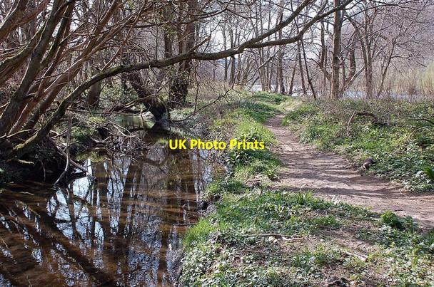 Photo 6"x4" Old mill lade by the Ettrick Water Selkirk c2012