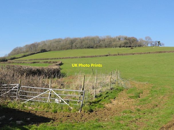 Photo 6"x4" Denbury Down Wotton Cross\/SX8069 c2012