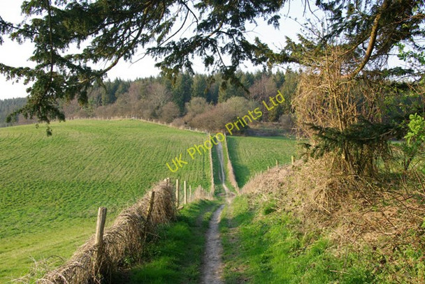 Photo 6"x4" Bridlepath, Chalton Down Chalton\/SU7316 c2007