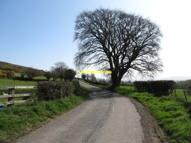 Photo 6"x4" Bend on Lisnacroppan Road Milltown\/J1436 c2012