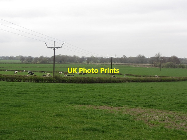 Photo 6"x4" Budworth Heath Budworth Heath c2012