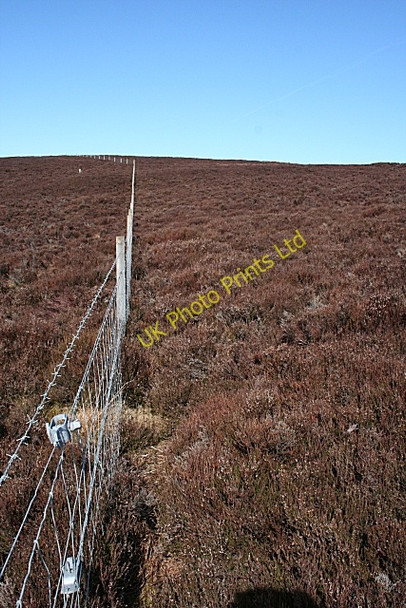 Photo 6"x4" Moss of Barluack Barluack c2007