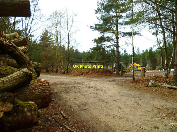 Photo 6"x4" Working area by footpath in Winterfold Wood Peaslake c2012