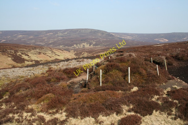 Photo 6"x4" Grouse Butt, Lower Small Clough River Westend c2007