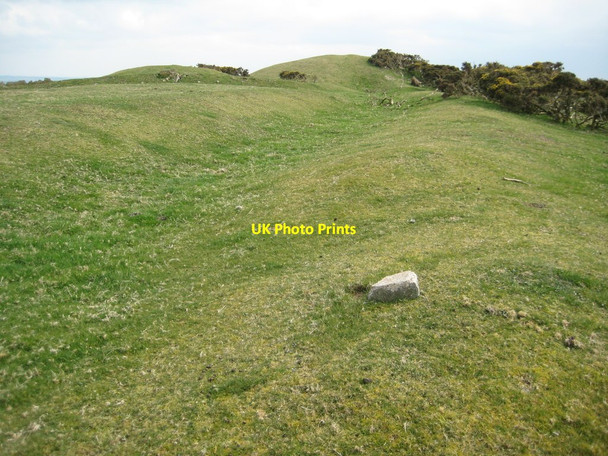 Photo 6"x4" Tumuli on Bronkham Hill Coryates c2012
