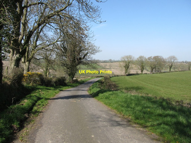 Photo 6"x4" Tree-lined section of Bronte Road Milltown\/J1436 c2012