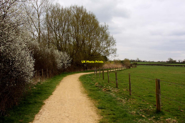 Photo 6"x4" The Thames Path at Waterhay Waterhay c2012