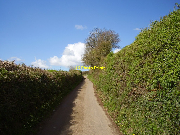 Photo 6"x4" Looking up Waxway Lane Coombe\/SY1091 c2012