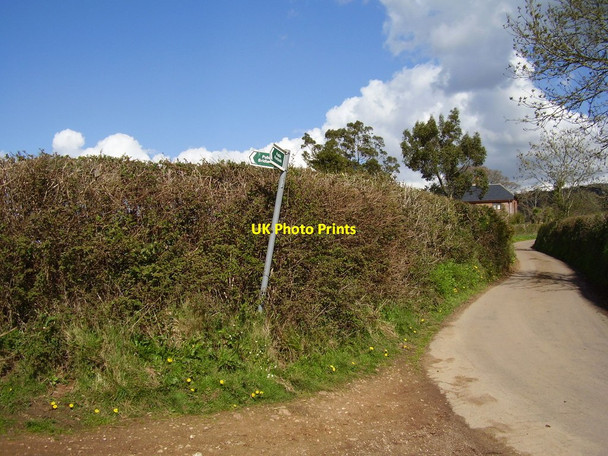 Photo 6"x4" Footpath and bridleway junction in Waxway Lane Coombe\/SY1091 c2012