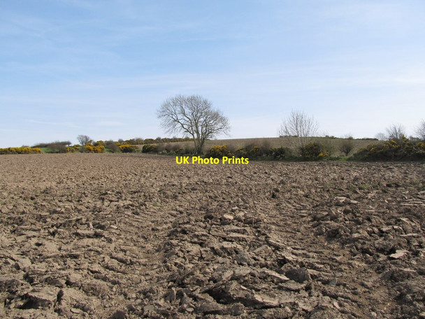 Photo 6"x4" Ploughed drumlin land Milltown\/J1436 c2012