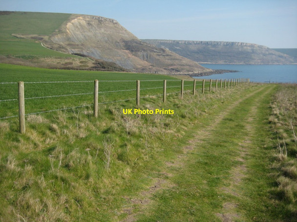 Photo 6"x4" Coast path approaching Houns-tout Cliff Kimmeridge c2012