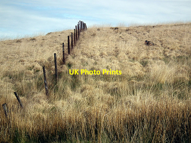 Photo 6"x4" Fence line at Bryn yr Hydd Nant-y-moch\/SN7786 c2012
