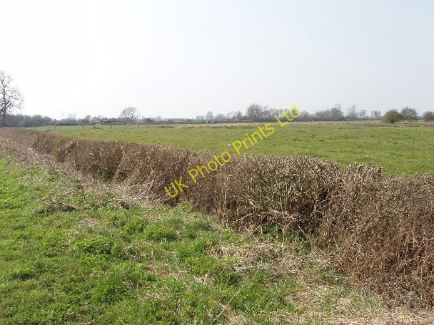 Photo 6"x4" Pasture and roadside hedge, Ambrosden Ambrosden c2007