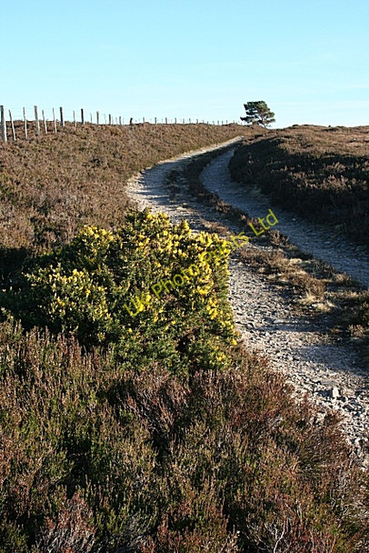 Photo 6"x4" Mannoch Road Kellas\/NJ1754 c2007