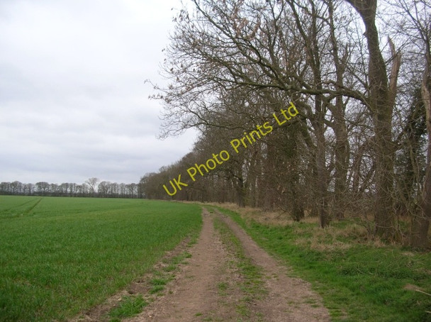 Photo 6"x4" Bridleway to Myton-on-Swale Myton-on-Swale c2007