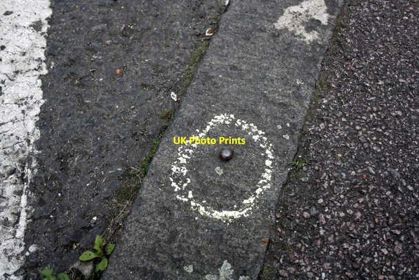 Photo 6"x4" Benchmark on kerb of Sandford Avenue Loughton\/TQ4396 c2012