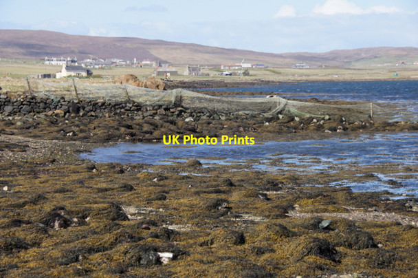 Photo 6"x4" Coastline of the voe at Baltasound Baltasound c2012 P1