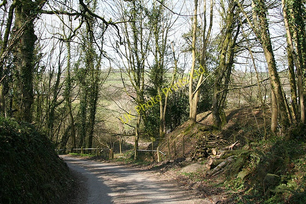 Photo 6"x4" Dulverton: lane near Anstey Farm East Anstey c2007